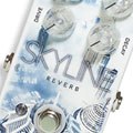 Rock Stock Skyline Reverb